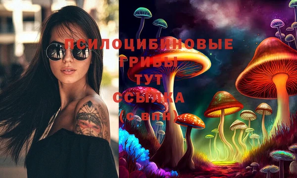 хмурый Аркадак