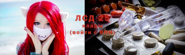 прущие грибы Арсеньев