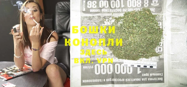 прущие грибы Арсеньев