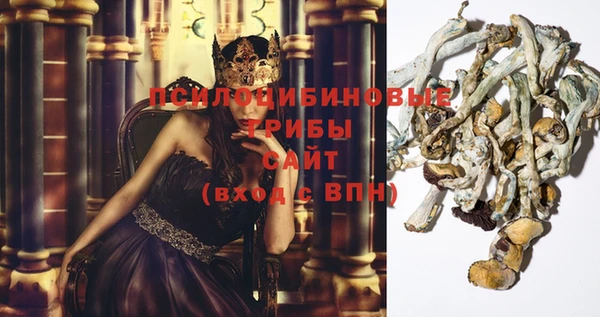 дурь Приозерск
