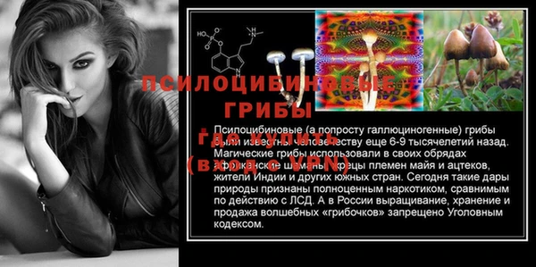 гидропоника Балахна