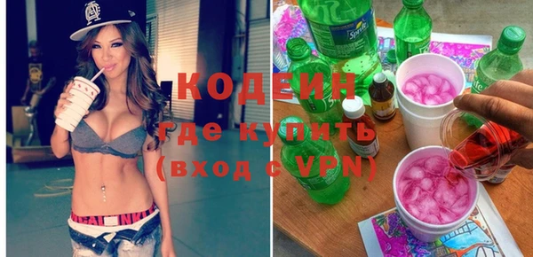 хмурый Аркадак