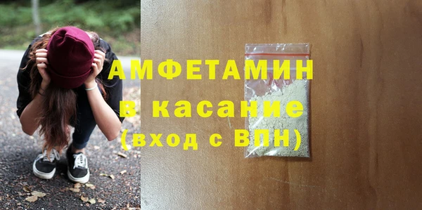 хмурый Аркадак