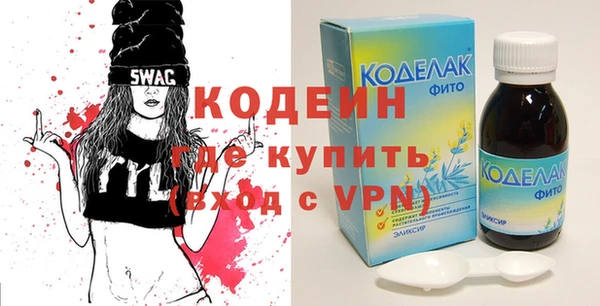 хмурый Аркадак